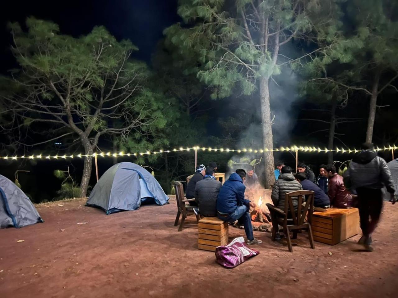 Hotel Tribe View - Away From City Hustle !! Top Rated & Most Awarded Property !! A Peaceful Stay Kasauli Eksteriør billede