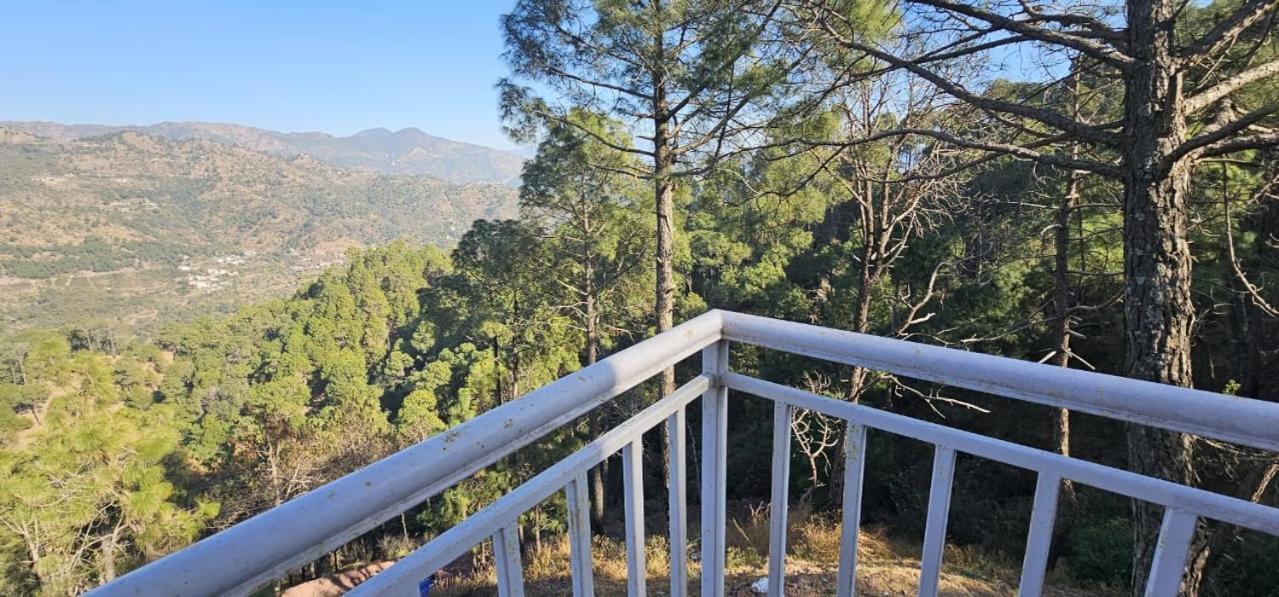 Hotel Tribe View - Away From City Hustle !! Top Rated & Most Awarded Property !! A Peaceful Stay Kasauli Eksteriør billede